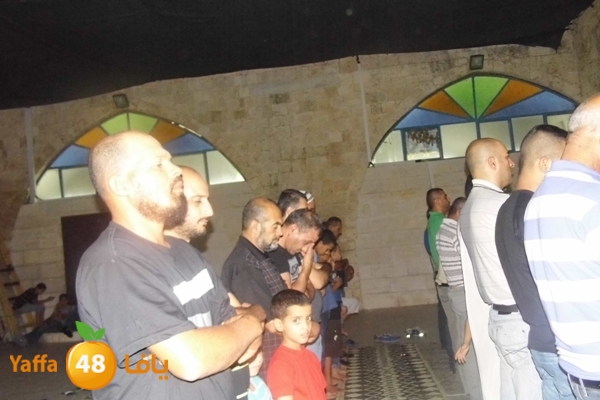 kaber trawe7 718 (25).JPG